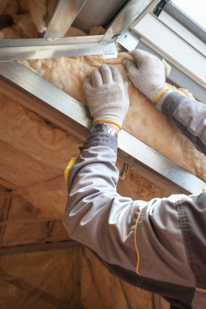 Garage Insulation Installation in Ellaville, GA