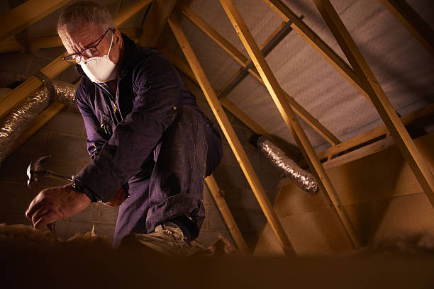 Attic Insulation Near Me in Ellaville, GA