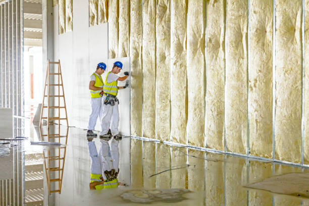 Insulation Replacement Services in Ellaville, GA